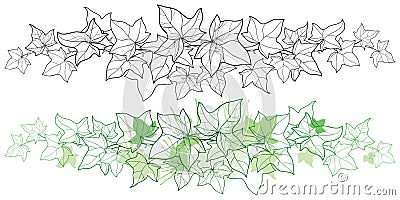 Vector horizontal border of outline bunch Ivy or Hedera vine. Ornate leaf of Ivy in black and pastel green isolated on white. Vector Illustration