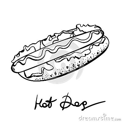 Vector hotdog with mustard. doodle Illustration vector. icon isolated on white. Vector Illustration