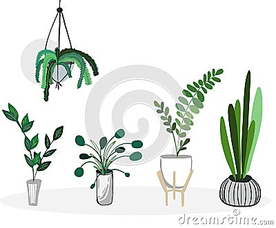 Vector house plants collection or set. Scandy elements. Green corner. Vector Illustration