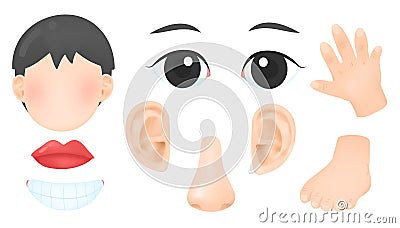 Vector of human body part Vector Illustration