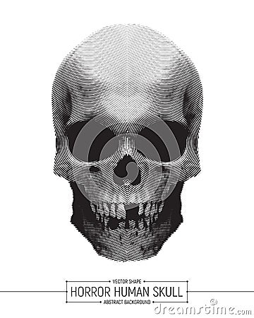 Vector Human Horror Skull Vector Illustration