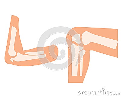 Vector human knee and foot leg and hands arms in a bent Stock Photo