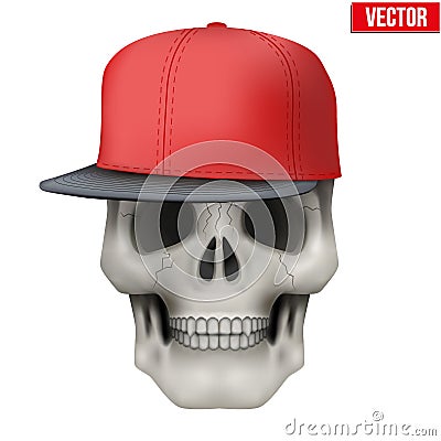 Vector Human skull with rap cap on head Vector Illustration