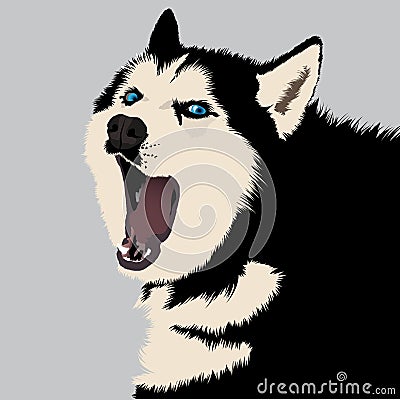 Vector Husky on snow Vector Illustration