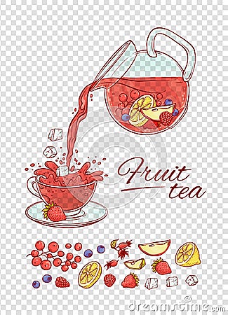 Vector ice tea drink constructor fruits and berries brew process. Make and pour in transparent cup cold aromatic Vector Illustration