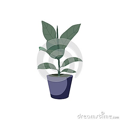 Vector icon illustration potted plant for the interior. Isolated on white background. potted decorative houseplants Vector Illustration