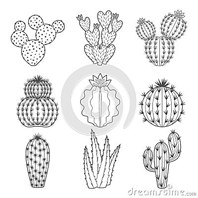 Vector icon set of contour cactus and succulent Vector Illustration