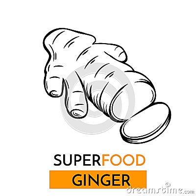 Vector icon superfood ginger Vector Illustration