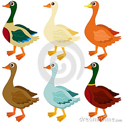 Vector Icons : Ducks, Goose, Geese Stock Photo