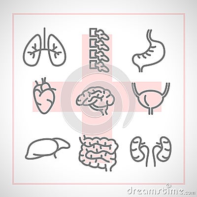 Vector icons of internal human organs flat design Vector Illustration