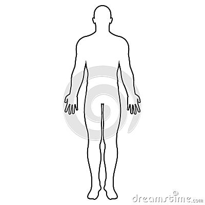 Vector illstration of human body icon. Outline design. Isolated. Vector Illustration