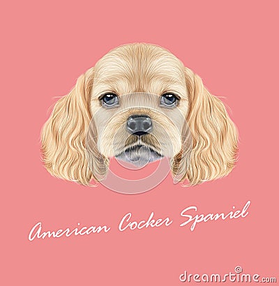 Vector Illustrated portrait of American Cocker Spaniel puppy Vector Illustration