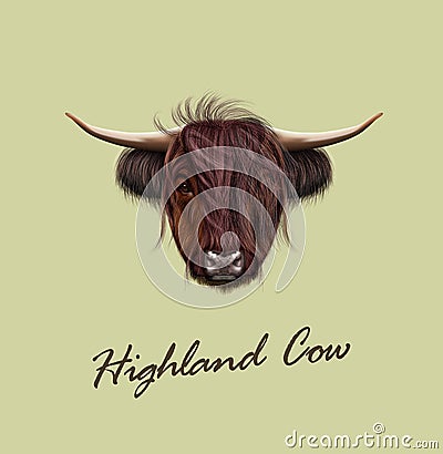 Vector Illustrated portrait of Highland cattle Vector Illustration