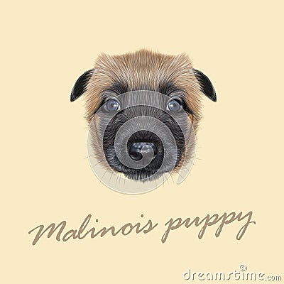 Vector Illustrated Portrait of Malinois dog. Stock Photo