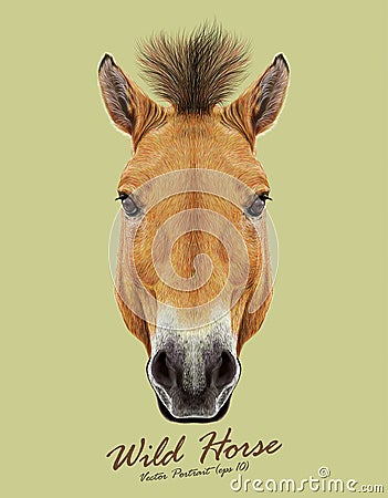 Vector Illustrated Portrait of Wild Horse on natural background. Vector Illustration