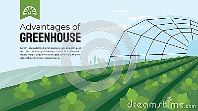 Greenhouse cultivation in agriculture. Design template for horticulture or agronomy. Vector Illustration