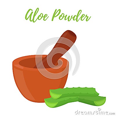 Vector illustration of aloe vera with pestle, mortar for herbal powder. Cartoon style Vector Illustration