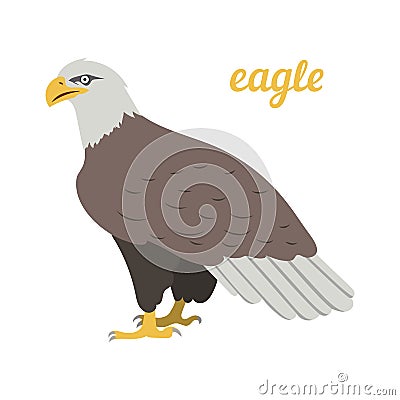 Vector illustration of american eagle Vector Illustration