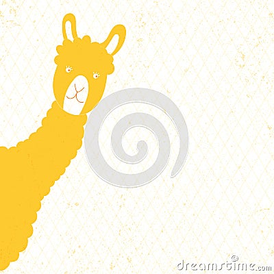 Vector illustration animal yellow llama. Vector Illustration