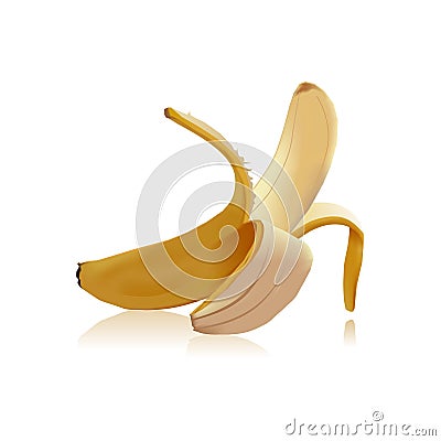 Vector illustration appetizing and delicious banana. Vector Illustration