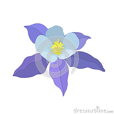 Vector illustration of aquilegia flowers of different colors Vector collection of colored aquilegia Stock Photo