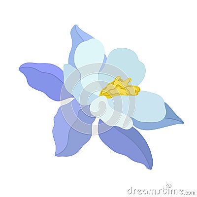 Vector illustration of aquilegia flowers of different colors Vector collection of colored aquilegia Stock Photo