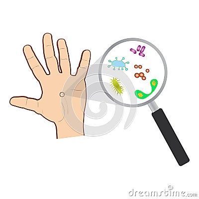 Vector illustration of bacteria and virus cells on human palm under a magnifying glass. Vector Illustration