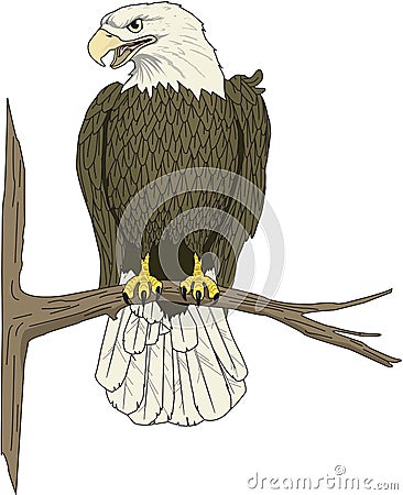 Eagle Perched on Branch Illustration Vector Illustration