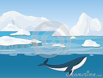 Vector illustration of beautiful arctic landscape of northern and Antarctic life. Icebergs in ocean and underwater world Vector Illustration