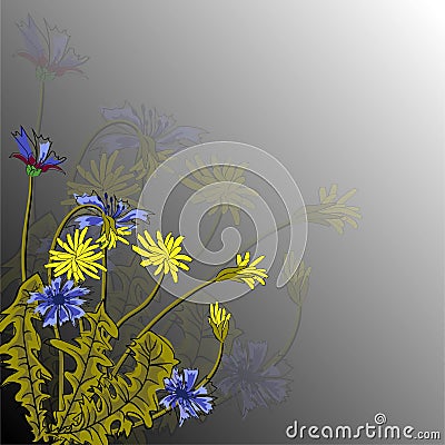 Vector illustration with beautiful field cornflowers and dandelions on a gray background. For decorating textiles, packaging and Vector Illustration