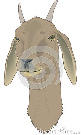 Billy Goat Illustration Vector Illustration