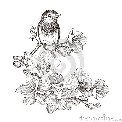 Bird hand drawn in vintage style with tropical flowers. Spring bird sitting on blossom branches of orchid. Linear Vector Illustration