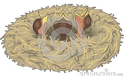 Bird Nest with Chicks Crying Illustration Vector Illustration