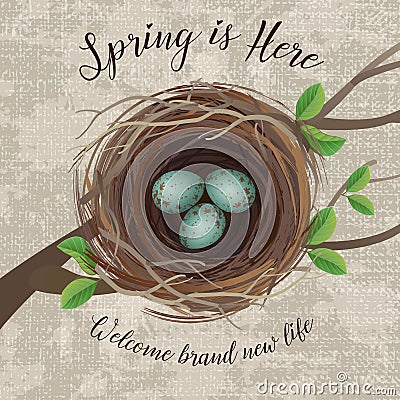 Vector illustration of bird`s nest with blue speckled eggs Vector Illustration