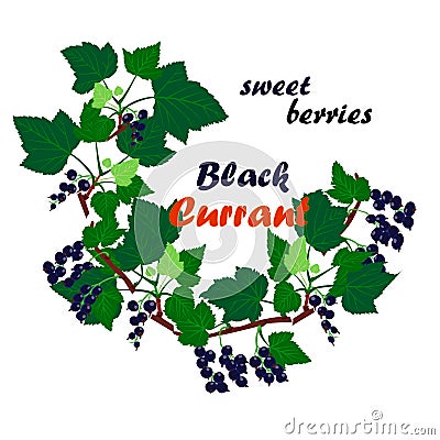 Vector illustration of black currant wreath Cartoon Illustration