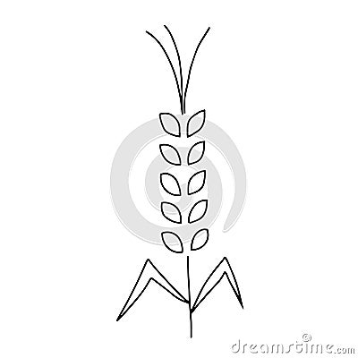 Vector Illustration of a black Spikelet of wheat plant icon isolated on a white background Vector Illustration