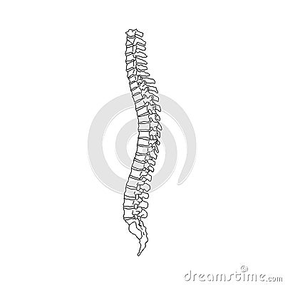 Vector illustration black spine diagnostic symbol, design, sign on white background. Diagnostic center Vector Illustration