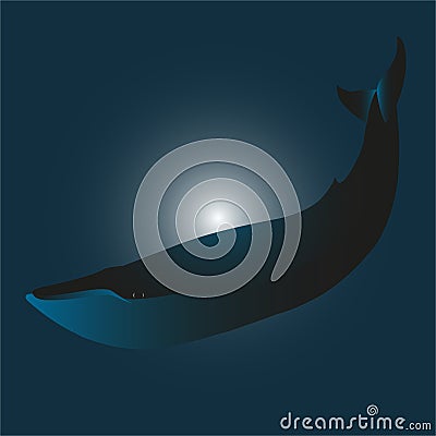 Vector illustration of a blue whale Cartoon Illustration