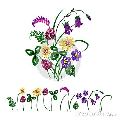 Vector illustration of bouquet made from wildflowers. Cartoon Illustration