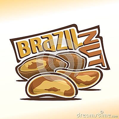 Vector illustration of brazil nuts Vector Illustration