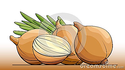 Vector illustration of bulb onions on a line. Vector Illustration