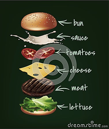 Vector illustration of burger ingredients, exploded hamburger with lettuce, patty, tomatoes, cheese, cucumber and bun Vector Illustration