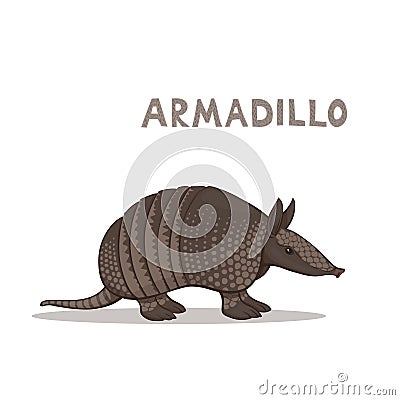 A cartoon armadillo, isolated on a white background. Animal alphabet. Vector Illustration