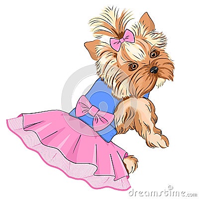 Vector Illustration of cartoon cute fashion dog Vector Illustration