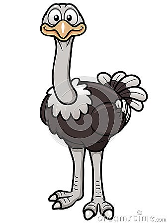 Cartoon ostrich Vector Illustration