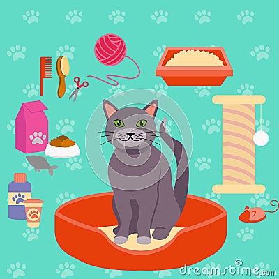 Vector illustration of cat and different Pet care accessories for cats. icons collection in flat style. Vector Illustration