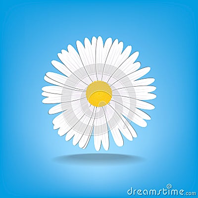 Vector Illustration chamomile flowers. Beautiful white daisy flower isolated. For greeting cards and invitations of wedding, birth Stock Photo