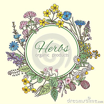 Vector illustration in circle shape. Herbs background, fresh leaves and different flowers. Frame with place for your Vector Illustration