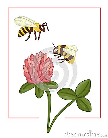 Vector illustration of colored clover with bee and bumblebee Vector Illustration