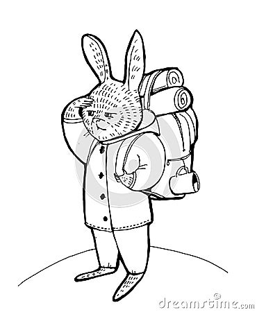 Humanized animal. The rabbit in a shirt and jeans stands Cartoon Illustration